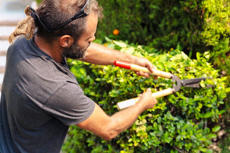 Trimming in a Garden