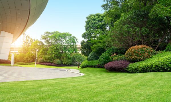 Commercial Shrub Trimming in Irvine