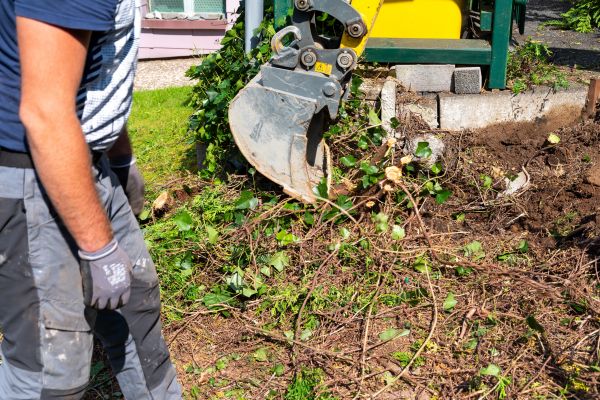 Hedge Removal Service in Irvine