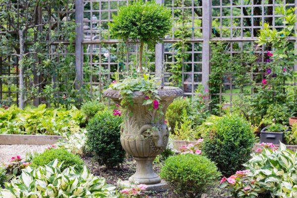 Cost of Topiary Pruning in Irvine