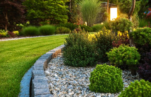 Cost of Bush Relocation in Irvine