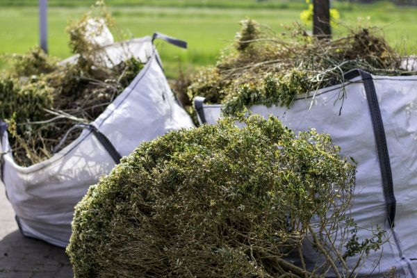 Cost of Shrubs Removal in Irvine