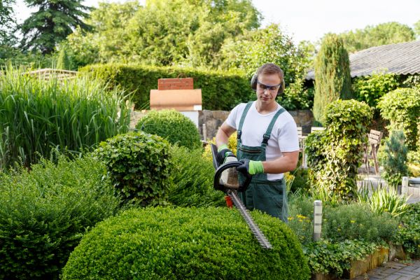 Shrubs Trimming in Irvine