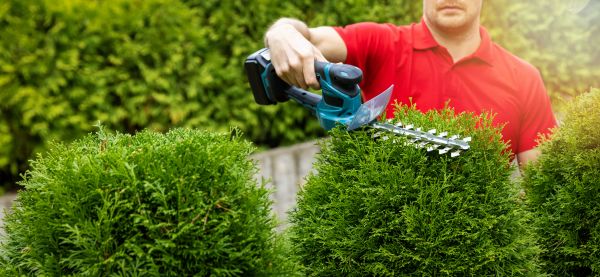 Cost of Hedge Shaping Service in Irvine